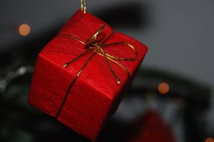 Joyeuses fêtes ! Photo : Francis Ledoux (CC BY-NC-ND 2.0)