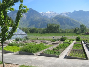 Les jardins des Barges. Photo: Voix d'Exils
