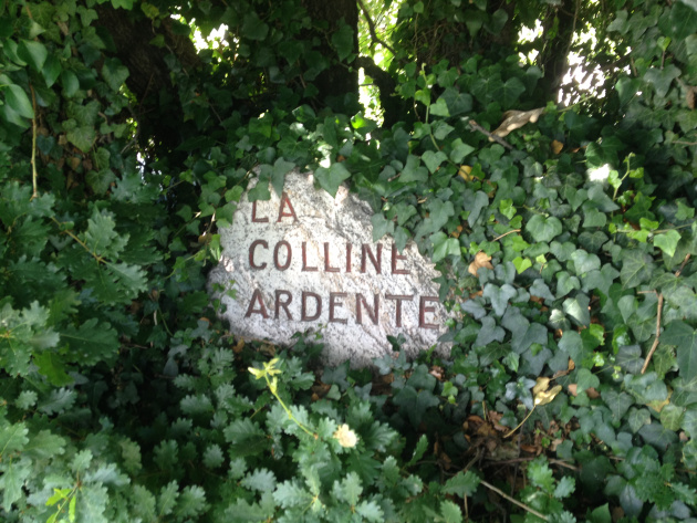 « La colline Ardente » le nom de la colline sur laquelle se trouve la Vigne à Farinet. Photo: Voix d’Exils.