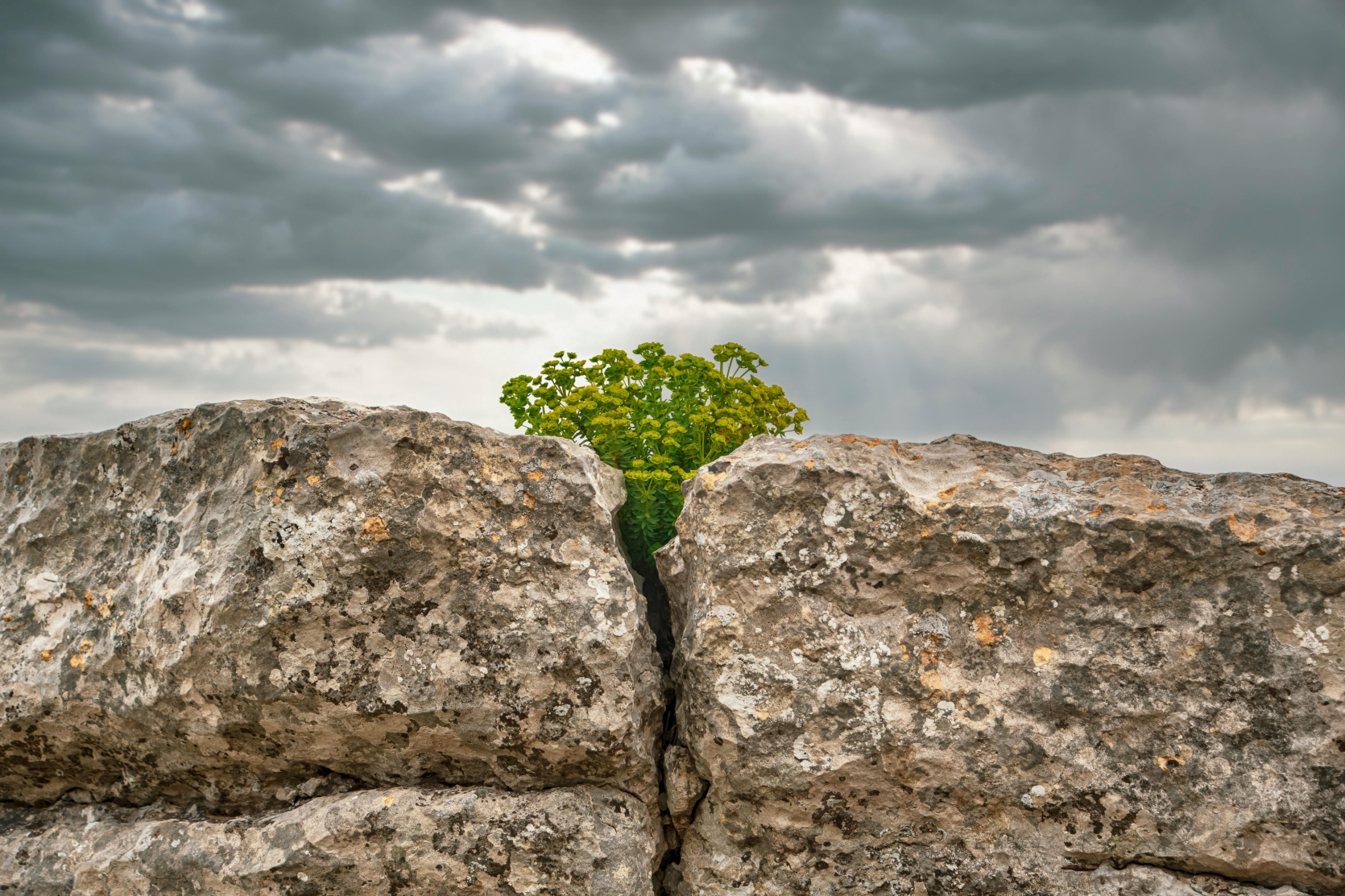 L&rsquo;anatomie d&rsquo;un prénom